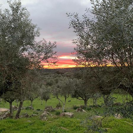 Casa 1-Quinta Dos Penedos Διαμέρισμα Portalegre Εξωτερικό φωτογραφία