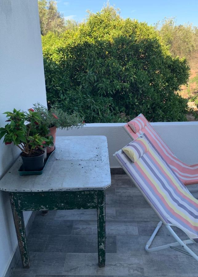 Casa 1-Quinta Dos Penedos Διαμέρισμα Portalegre Εξωτερικό φωτογραφία