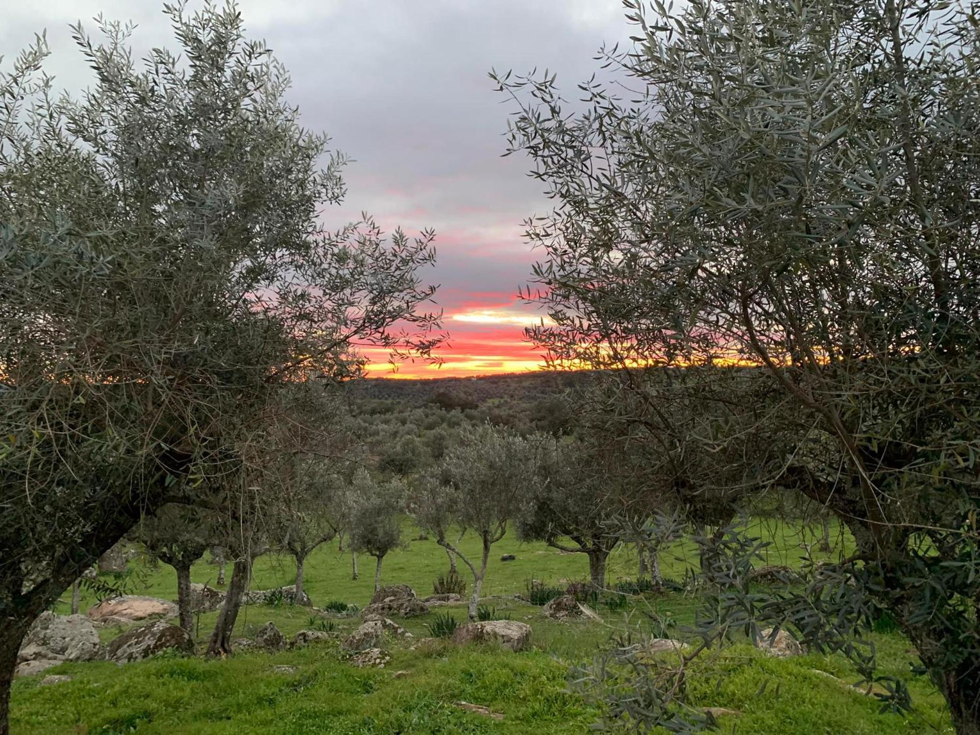 Casa 1-Quinta Dos Penedos Διαμέρισμα Portalegre Εξωτερικό φωτογραφία